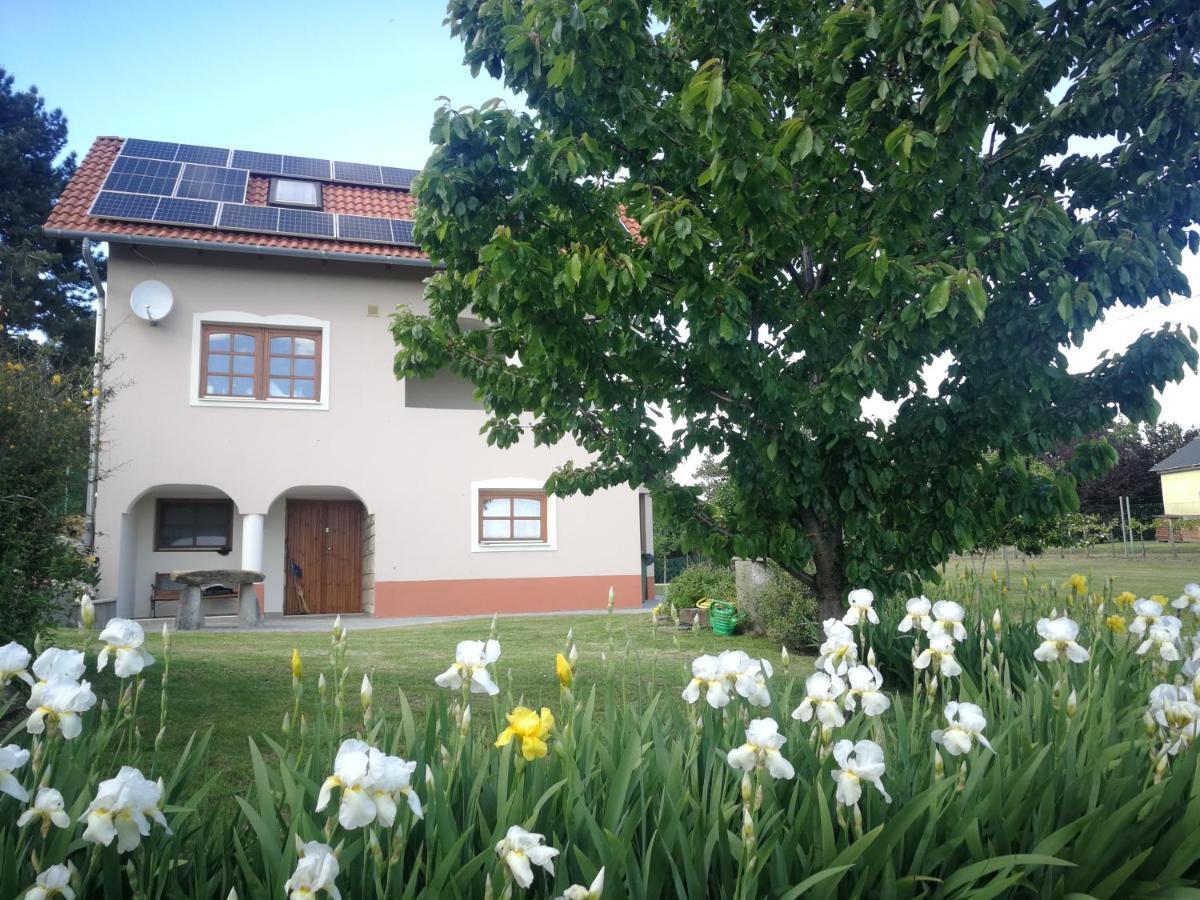 Bottyahat Guesthouse Rezi Exteriér fotografie